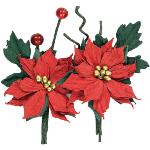 UC Fleurs Poinsettia Duo