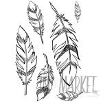 Gabi's Feathers Stamp Set