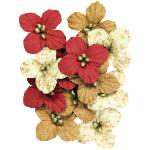 UC Fleurs Mixed Primrose