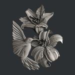 Zuri Colibri Flutters
